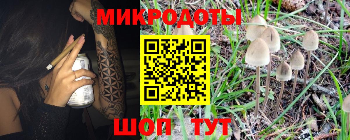 Псилоцибиновые грибы MAGIC MUSHROOMS Борисоглебск