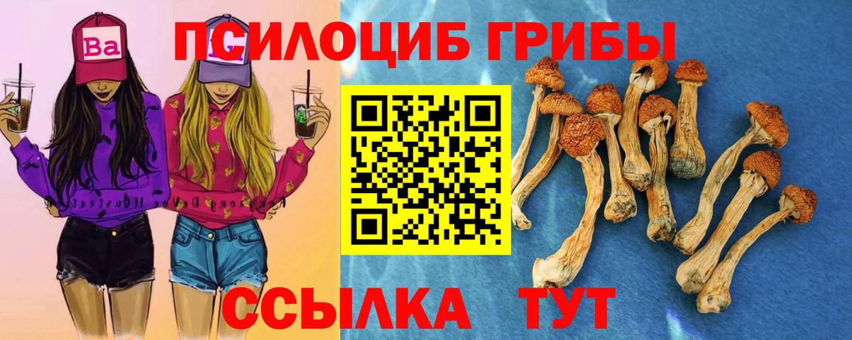 Борисоглебск  Псилоцибиновые грибы Psilocybine cubensis  Галлюциногенные грибы прущие грибы  Вход с VPN 