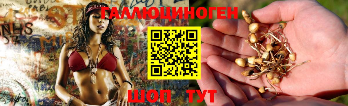 Псилоцибиновые грибы GOLDEN TEACHER  Вход с VPN  Борисоглебск 