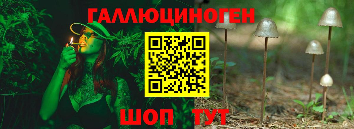 Галлюциногенные грибы Psilocybe Борисоглебск